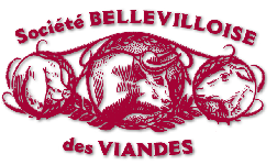 logo de SBV